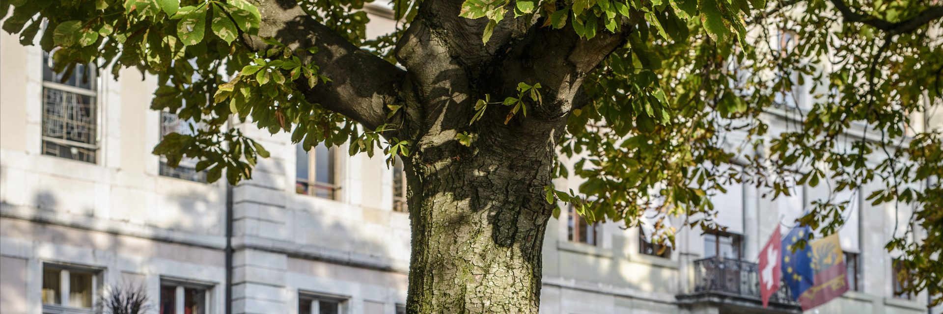 bandeau-1920x640-nature